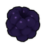 Black Clusterberry