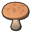 Button Shroom (Poisonous)